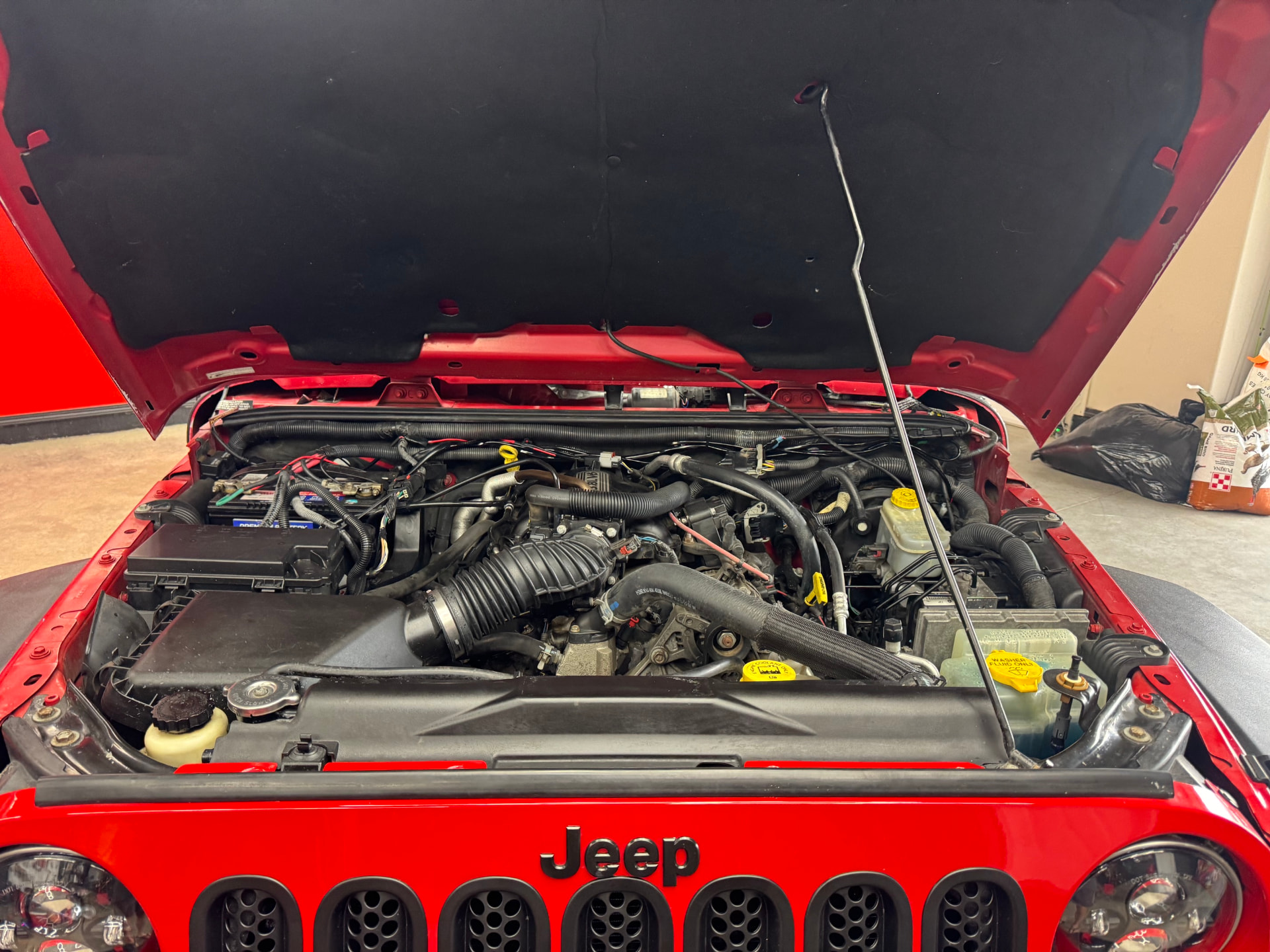 Skadi's cleaned engine bay with hood open